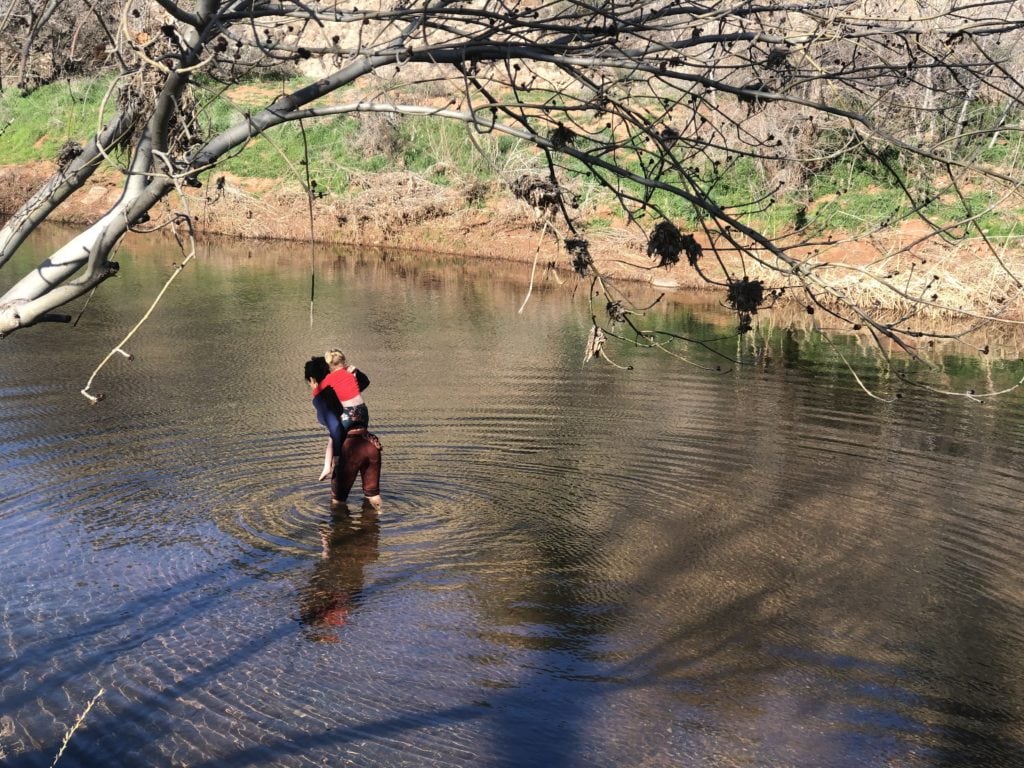 wading in the creek