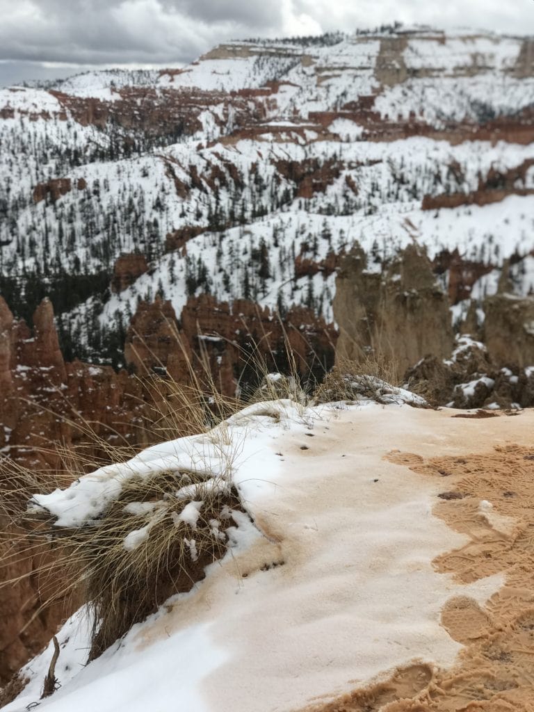 snow in bryce